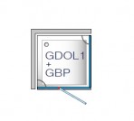 GDOL1+GBP dušas stūris, 800x1000 mm, kreisais 2
