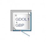 GDOL1+GBP dušas stūris, 1300x1000 mm, kreisais 2