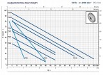 Sūknis PQm 100 1,1kW 230V 50Hz Pedrollo 2