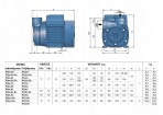 Sūknis PQm 100 1,1kW 230V 50Hz Pedrollo 3