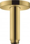 Hansgrohe Dušas galvas turētājs S 10 cm, Gold