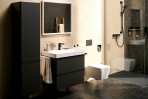 Hansgrohe Isiflex Dušas šļūtene 160 cm, Matt Black 3