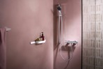 Hansgrohe WallStoris Glabāšanas grozs, Matt White 5